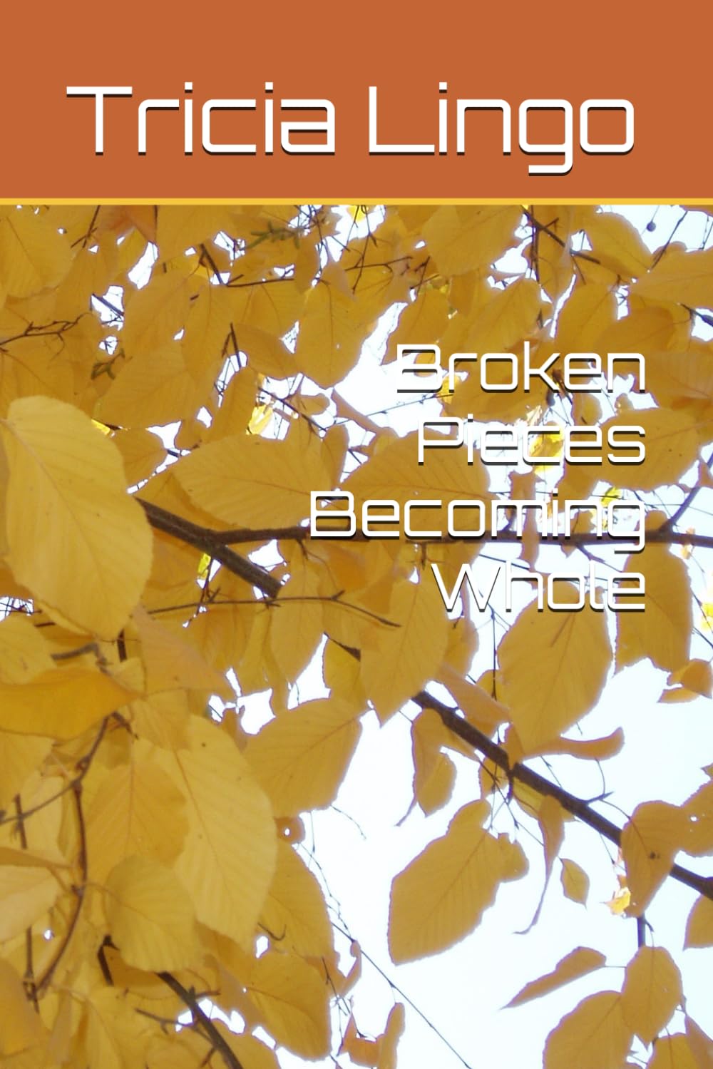 Broken Pieces Becoming Whole