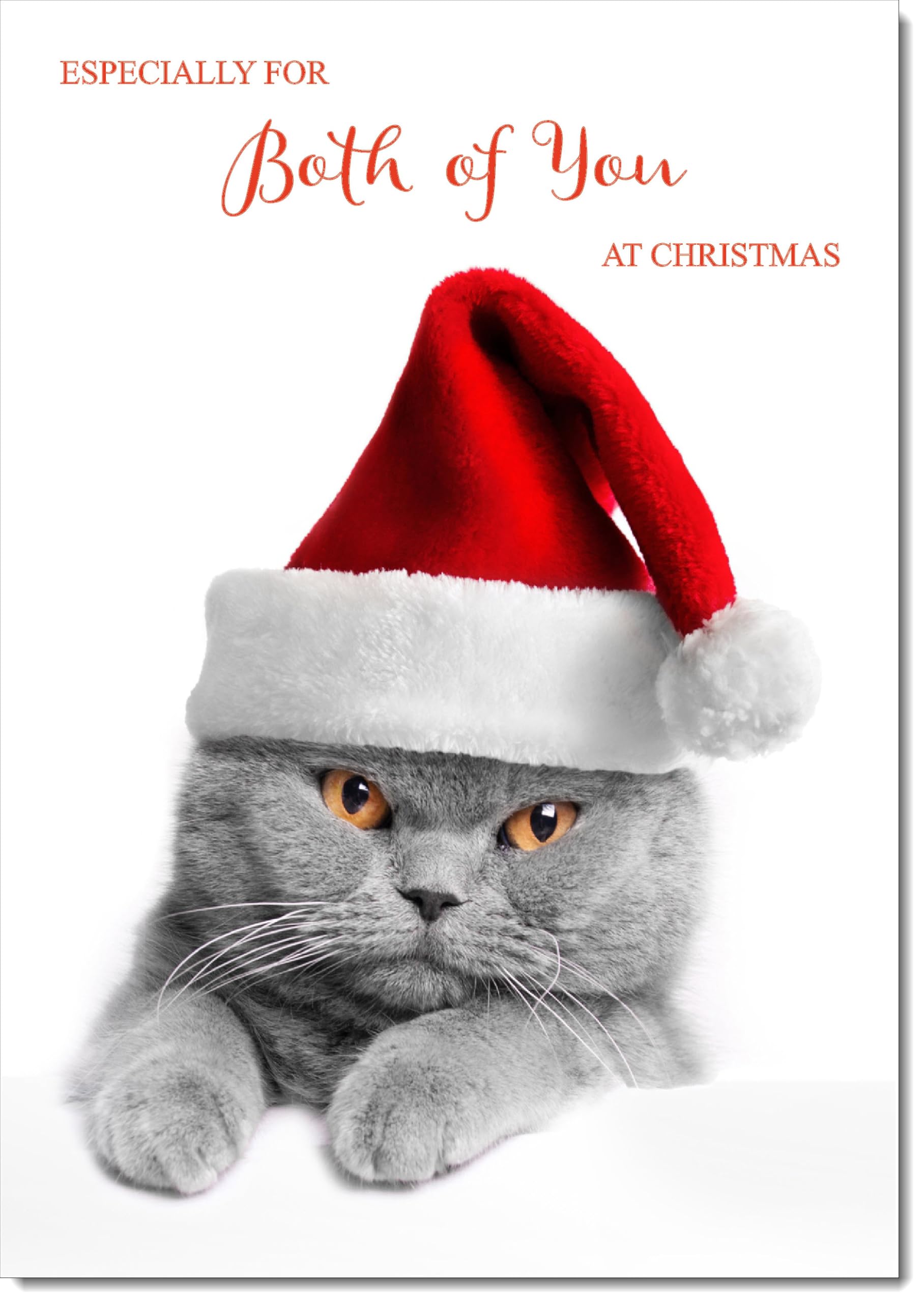 doodlecards To Both of You Christmas Card Grey Cat with Santa Hat Large A4 Size Christmas Card for To Both of You with Plain Envelope — image 1
