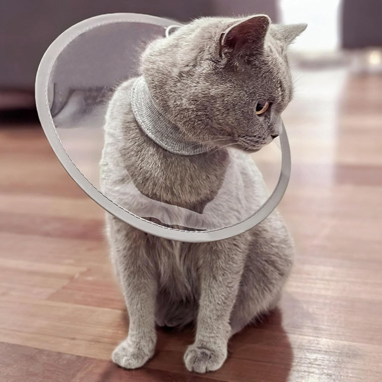 Cat Collars Comfortable PVC Neck Protective Cover | Cone for Dogs To Stop Licking for Small Medium Large Puppy Kitten Home Indoor Outdoor Recovery