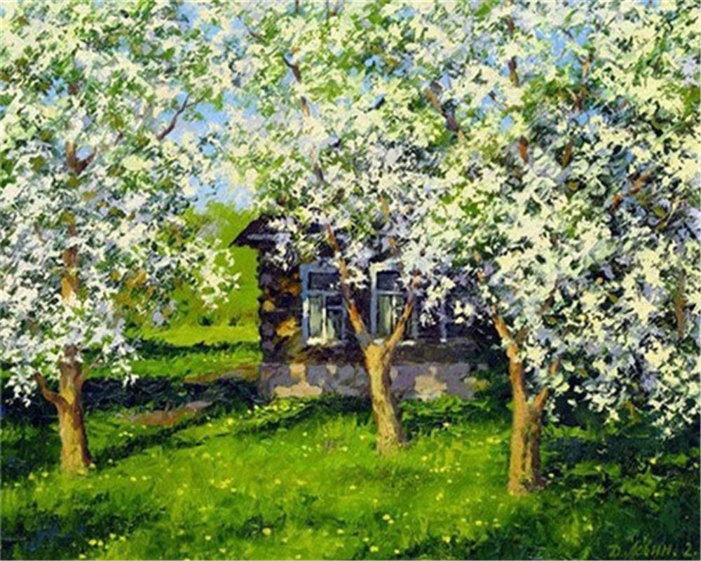 YEESAM ART Malen Nach Zahlen Set – 'Blühen Weiß Blumen', 40x50 Cm, Inkl. Farben & Pinsel