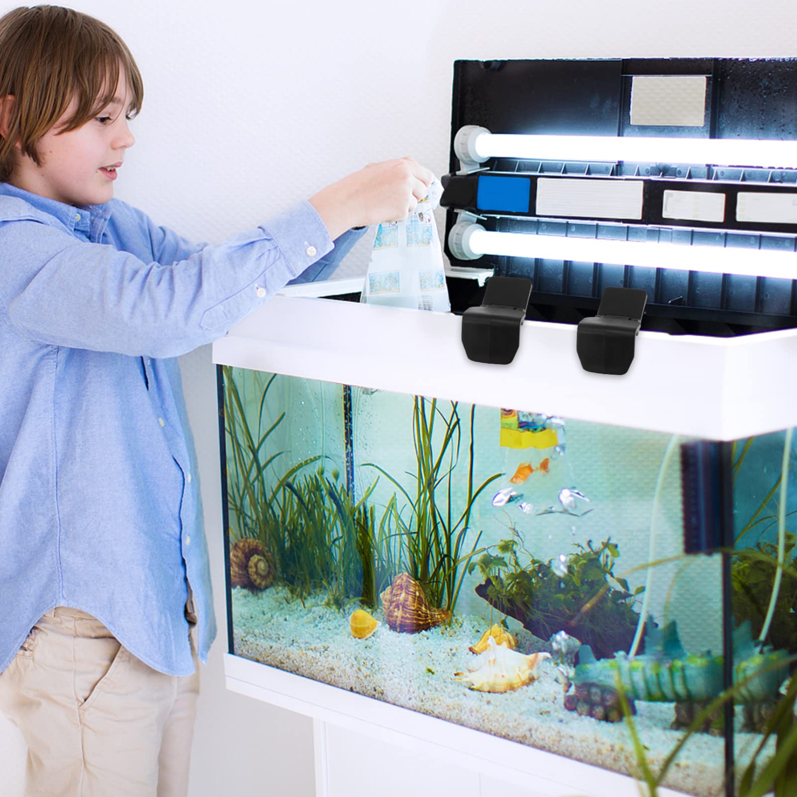 Accessoires Pour Terrarium à Reptiles Et Amphibiens