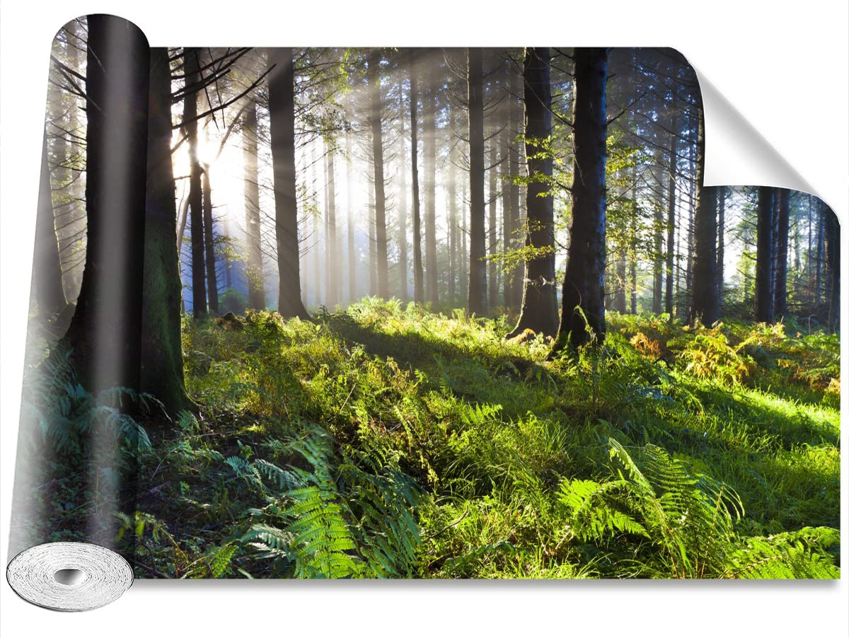 Stickers muraux grand format pour un salon lumineux style forêt