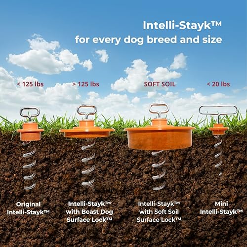 Miniatura 6 de Intellileash Products Intelli-Stayk Estaca con tecnología especial de bloqueo de superficie para atar perros Evita que se tiren y se doblen.