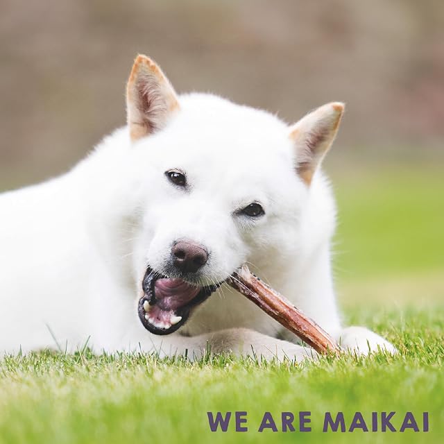 Foto 6 de 6 de MAIKAI Chuches Naturales para Perros Nervio de Toro 10 uds Snack Barf Saludable Bajo en Grasa Mordedor…