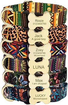 Personalized Dog Collar with Bone Buckle Custom Name & Phone Number Engraved, Adjustable Quick Release for Small to Large Dogs Ethnic Style