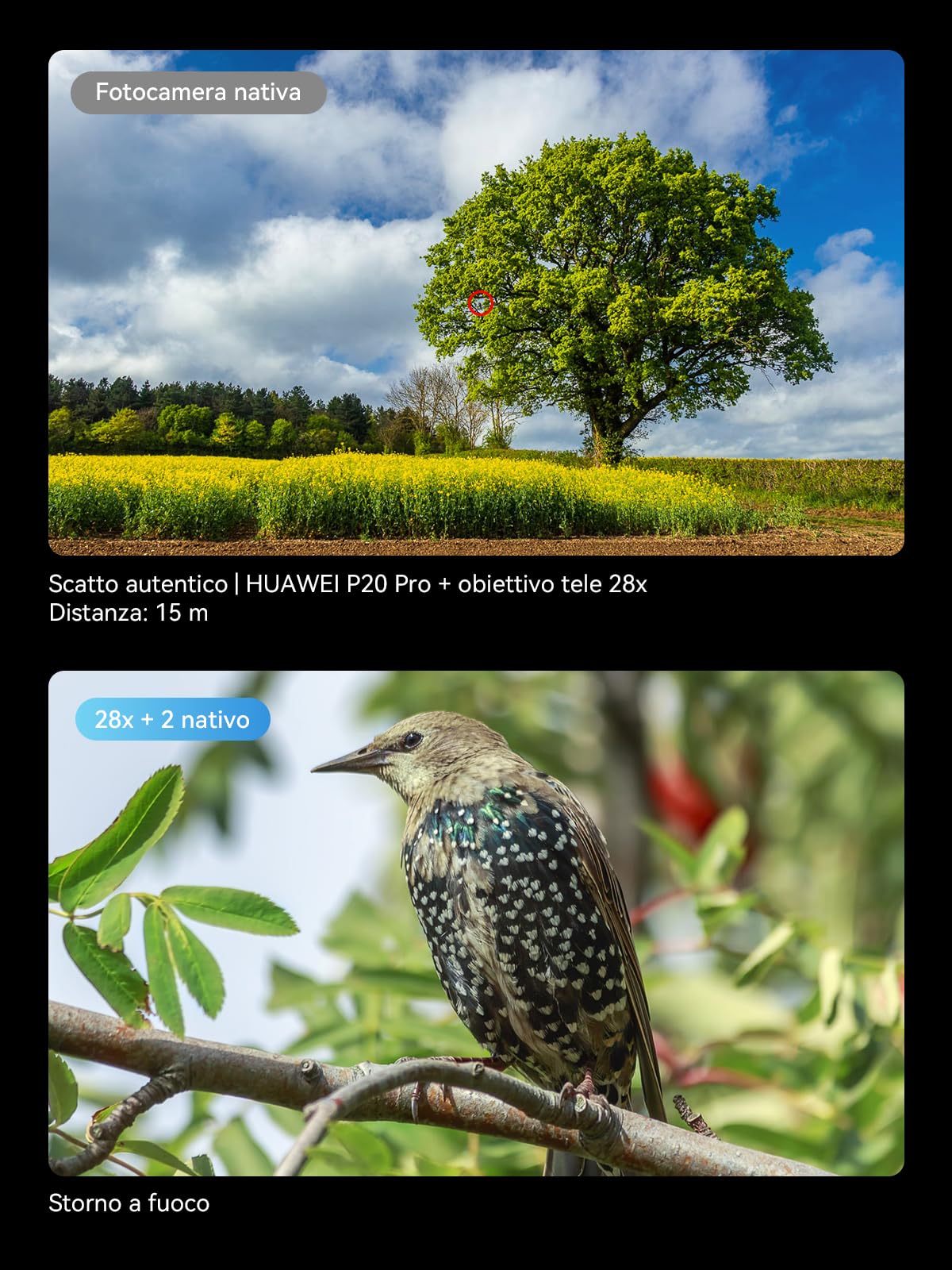 APEXEL 28x HD Teleobiettivo – Obiettivo telescopico universale con clip per iPhone, Samsung e Android