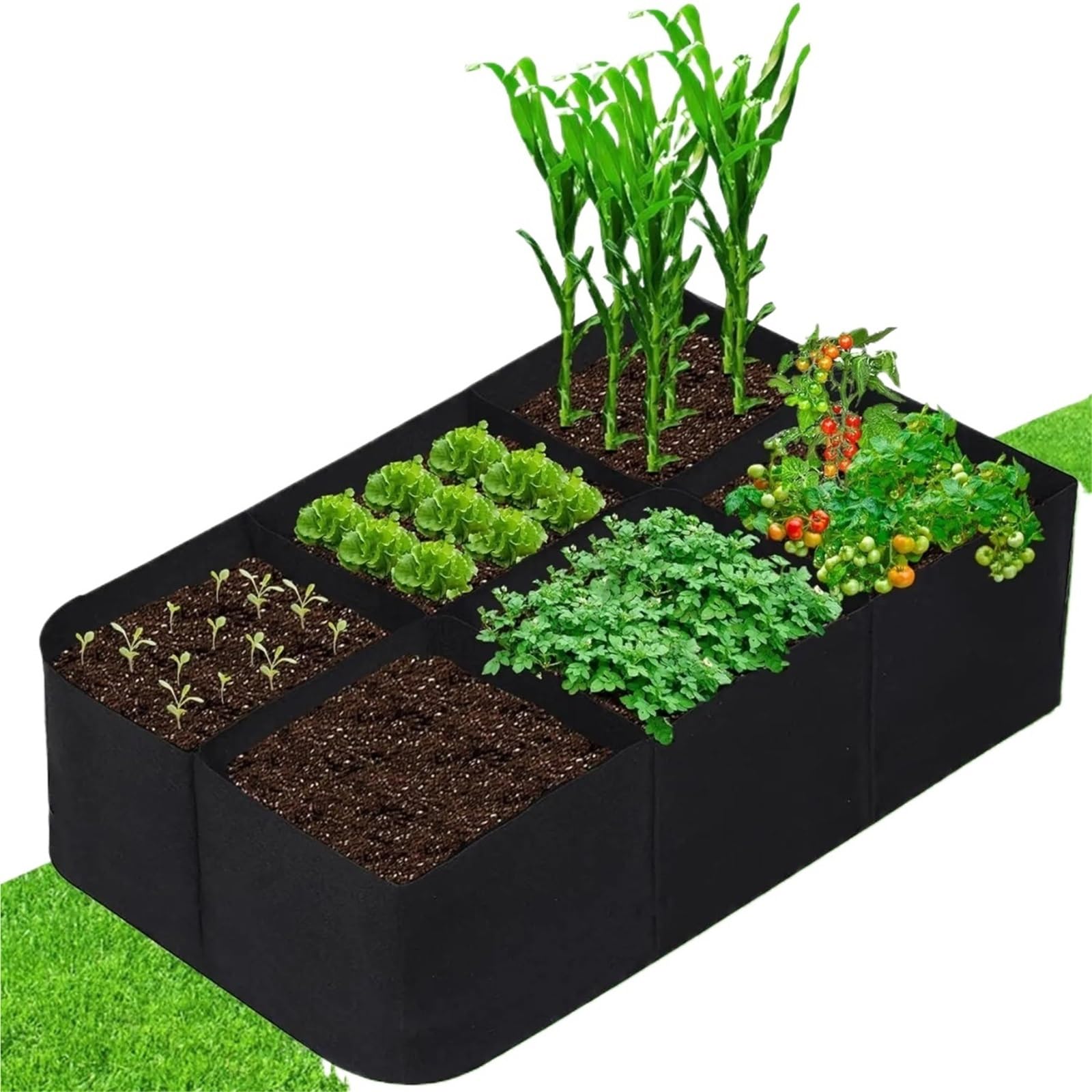 DCUIPG 3Pcs Fabric Raised Garden Bed 4x2x1ft Grow Bags for Growing Herbs, Flowers and Vegetables 55 Gallon for Vegetables