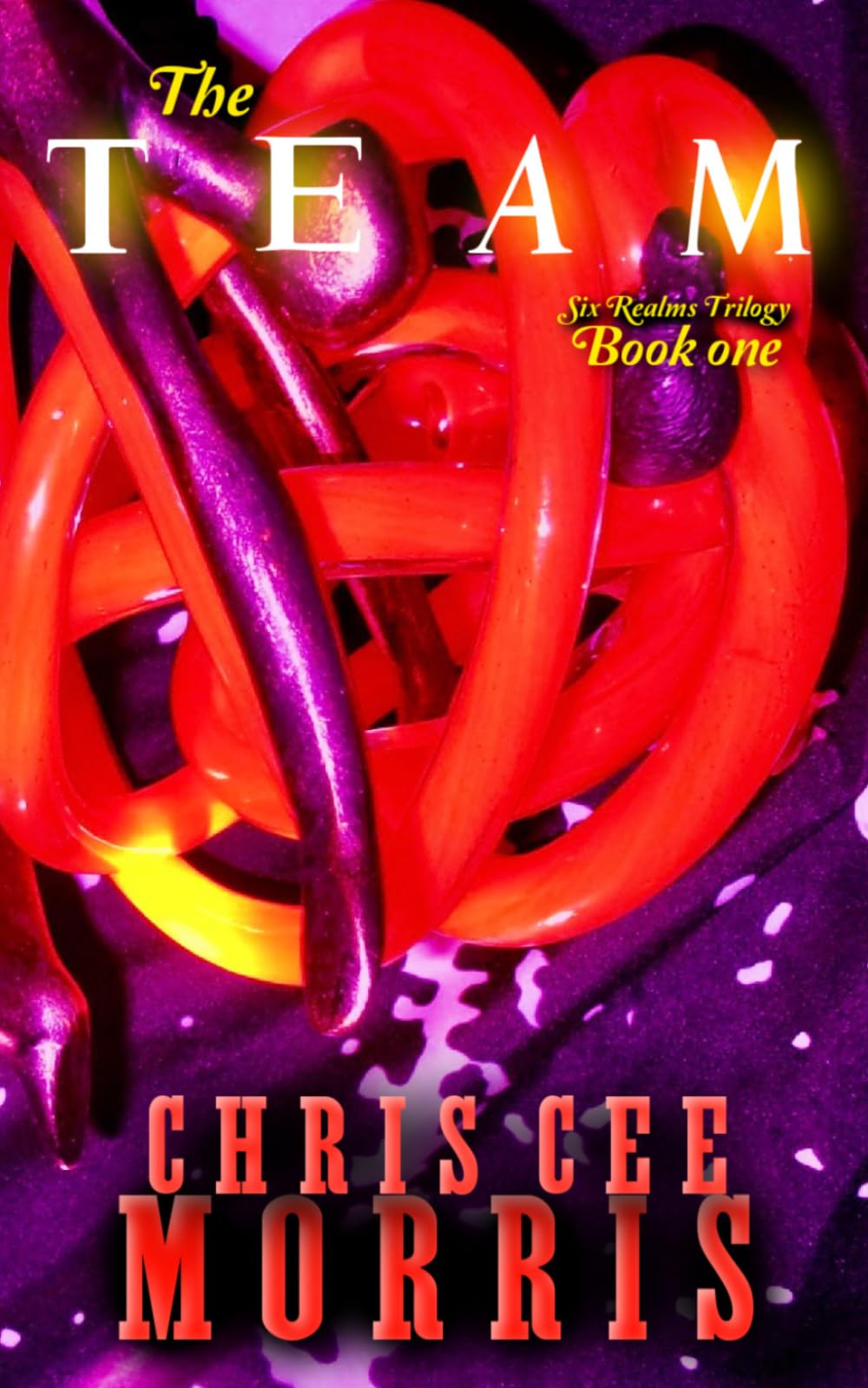 the team: Book One of the Six Realms Series (Six Realms Trilogy)