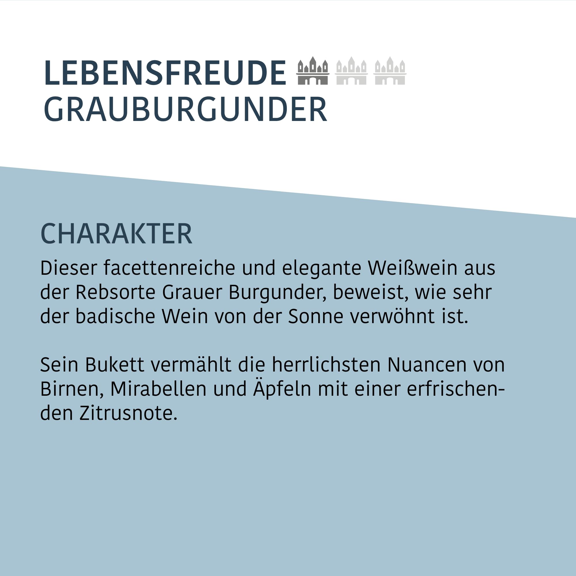 Burkheimer Grauburgunder trocken – Qualitätswein facettenreich & elegant mit Aromen von Birne, Mirabelle & Zitrus - Lebensfreude Kollektion - Weißwein vom Kaiserstuhl (6 x 0,75l)