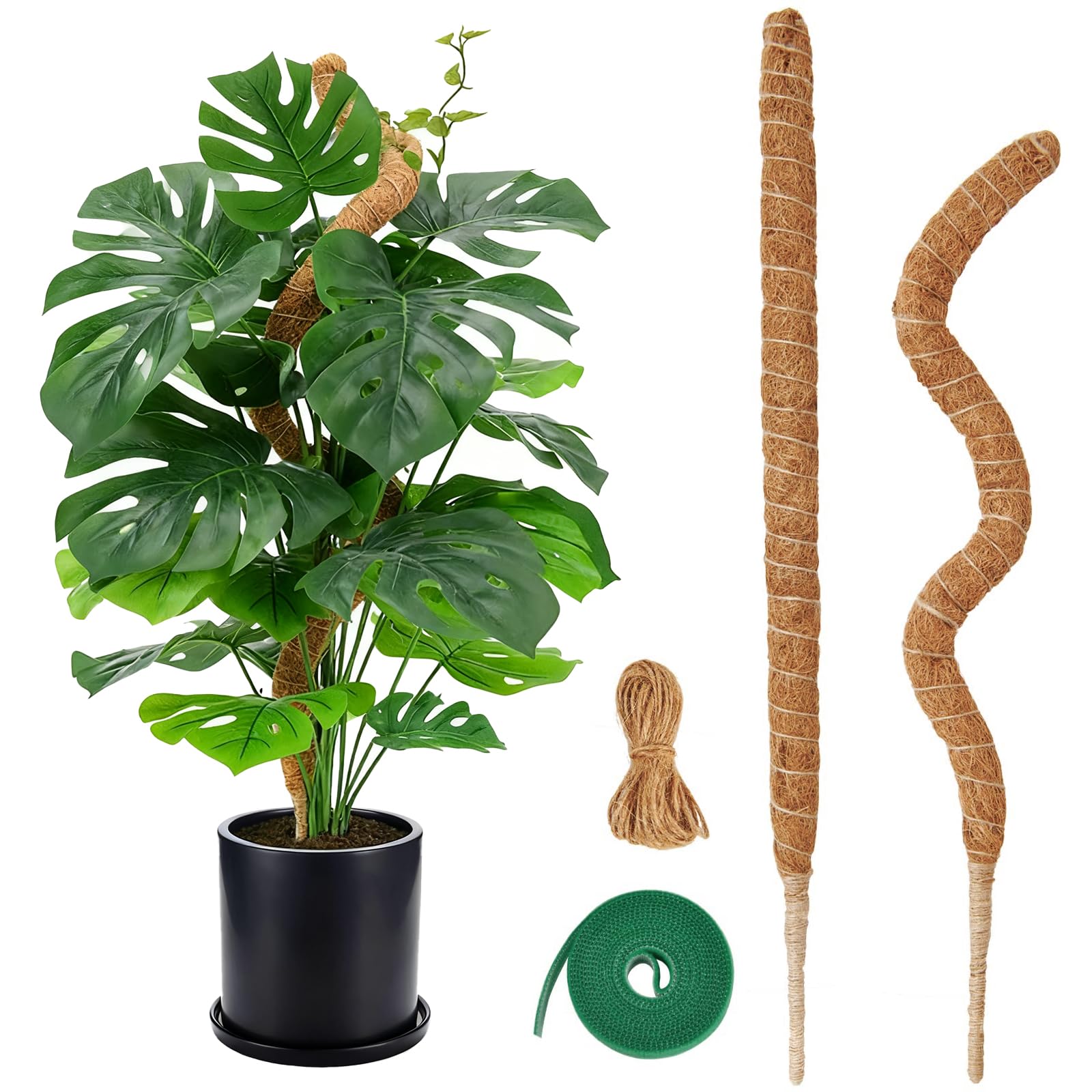 Moosstab fr Monstera Rankhilfe, 2 Stck 60cm Natrliche Kokosfaser  Pflanzensttze mit Hanfseil & Klettband, Robust Stabil und Kippschutz,  Biegbar DIY-Styling, Kletterhilfe fr Kletterpflanzen Indoor : Amazon.de:  Garten