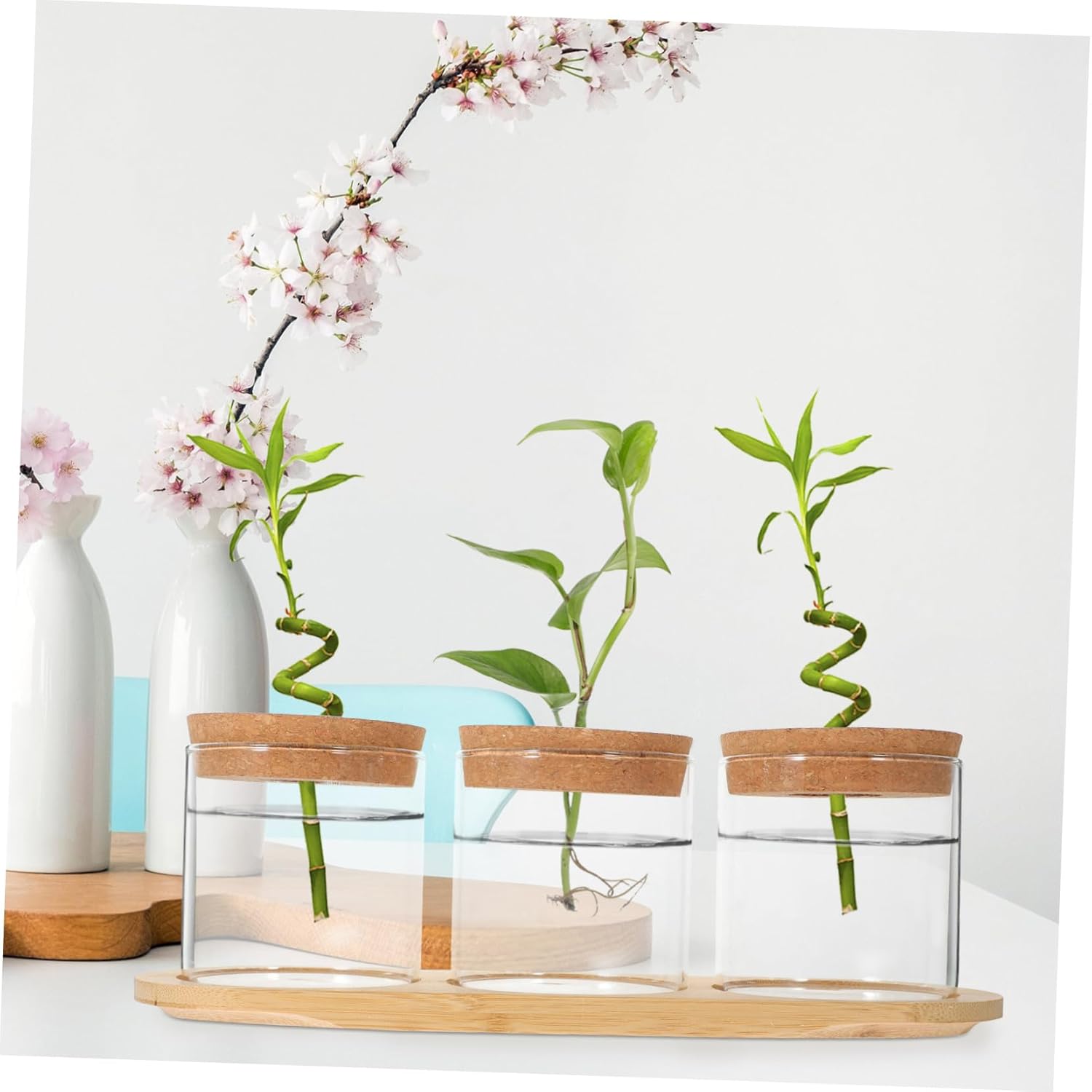 GALPADA Green Plant Glass Bottle Plant Holder Hydroponics Supplies Terrarium Jars for Office Home Decor