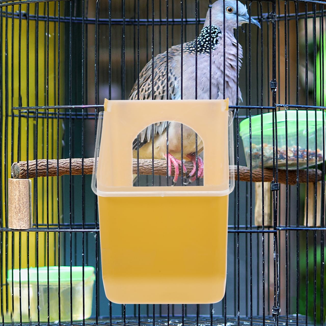 Besportble Alimentador Colgante De PláStico para Palomas 6 Piezas Comedero para PáJaros PequeñOs Jaula FáCil De Instalar Y Limpiar para Aves De Corral