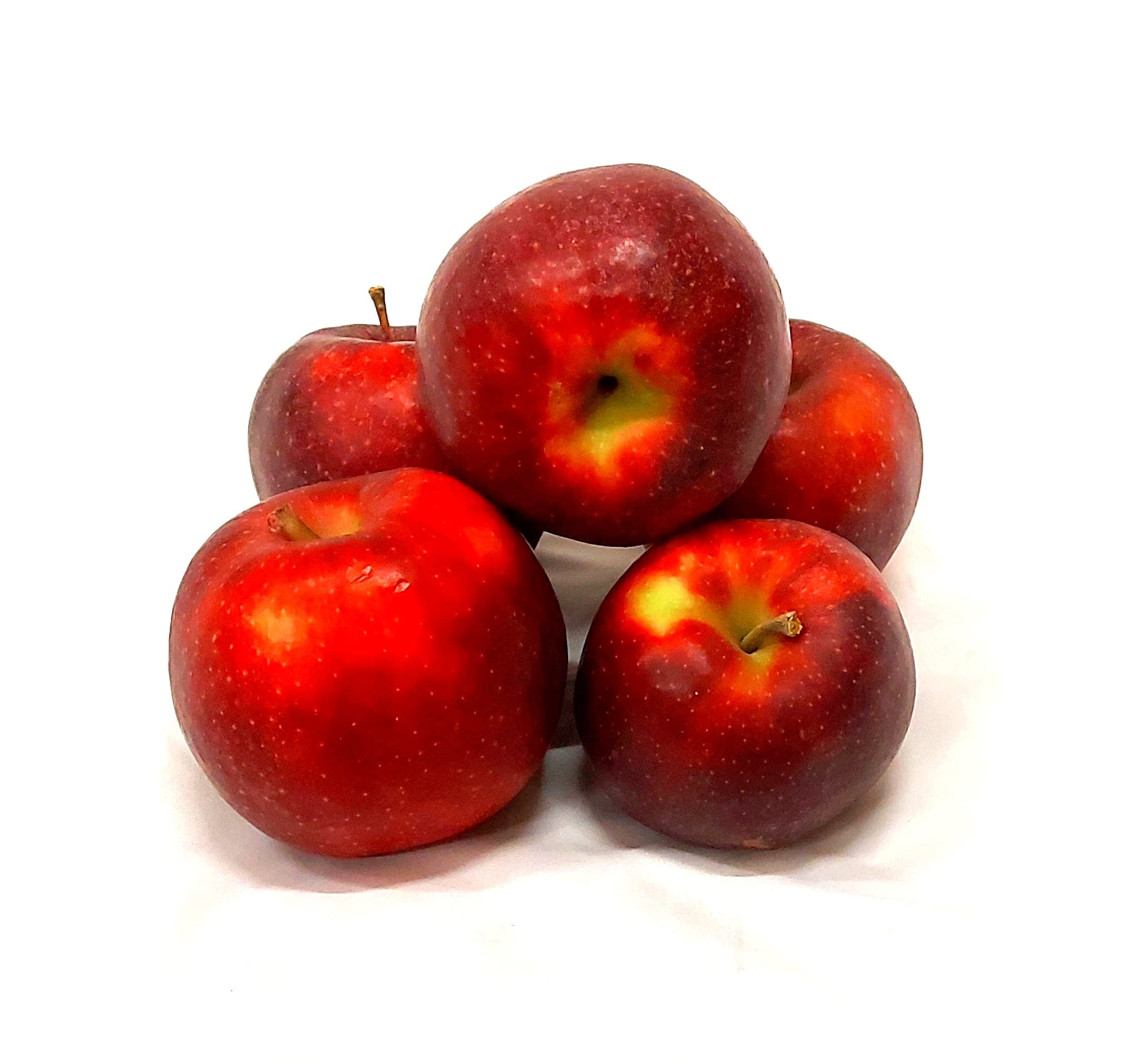 Äpfel Red Jonaprince Jonagold Price Red Prince aus Deutschland/Bodensee saftig süß-säuerlicher Tafelapfel 8 KG