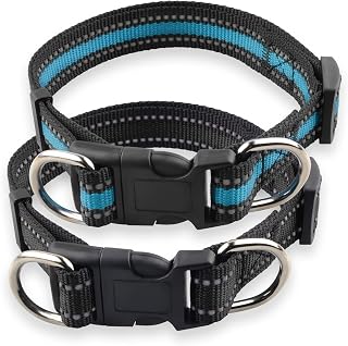Highly Reflective Adjustable Dog Collar with Dual Metal D-Rings - Classic Colors for Small/Medium Dogs, 2-Pack (Blue and Black, M)