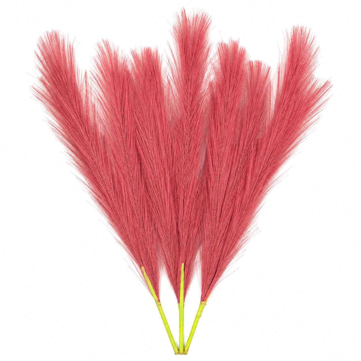 Pampas Grass Set - Realistic Boho Flowers -10