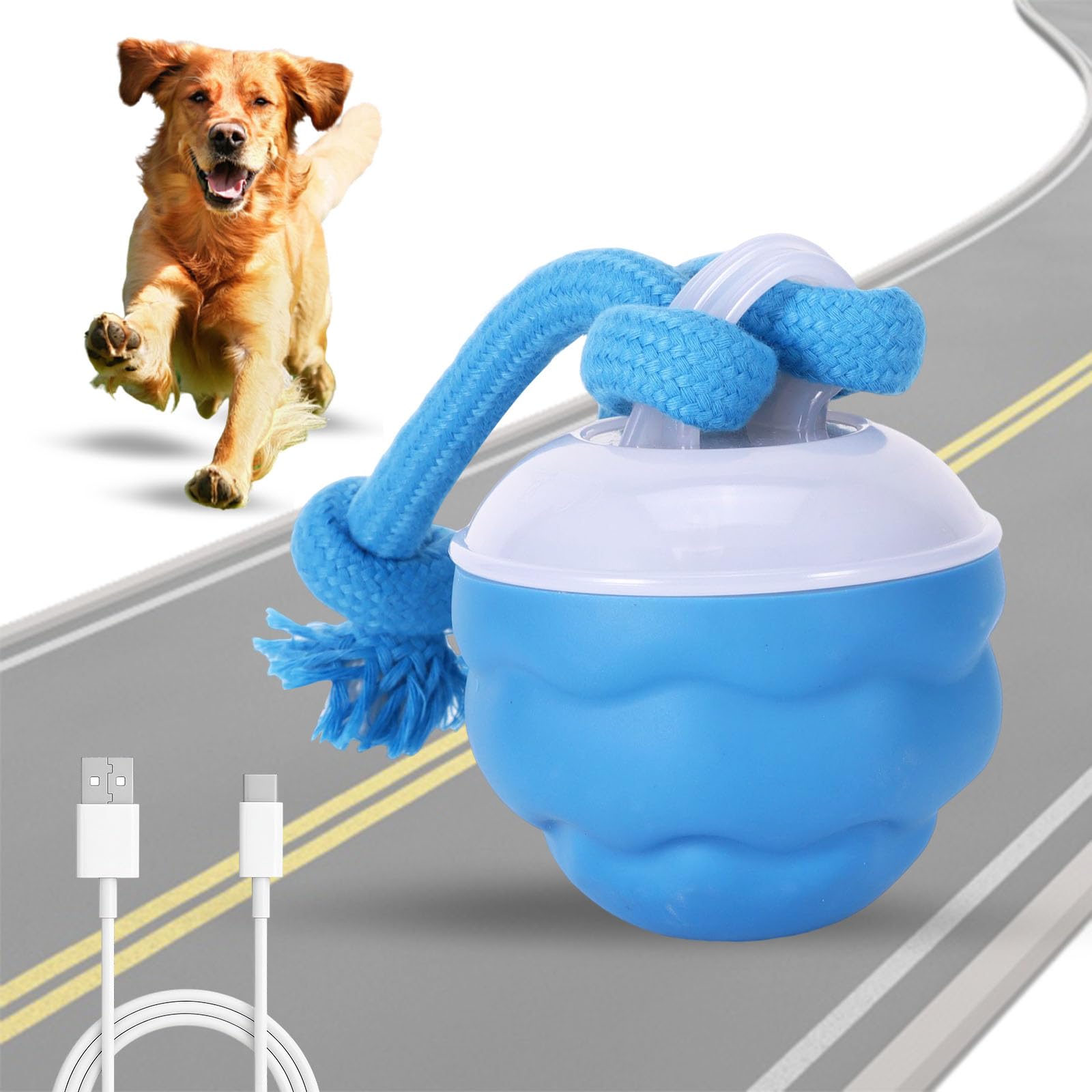 DEECOZY Interactive Dog Toys Ball with Motion Activated, Fun Moving Smart Dog Active Rolling Ball with Two Chew Ropes