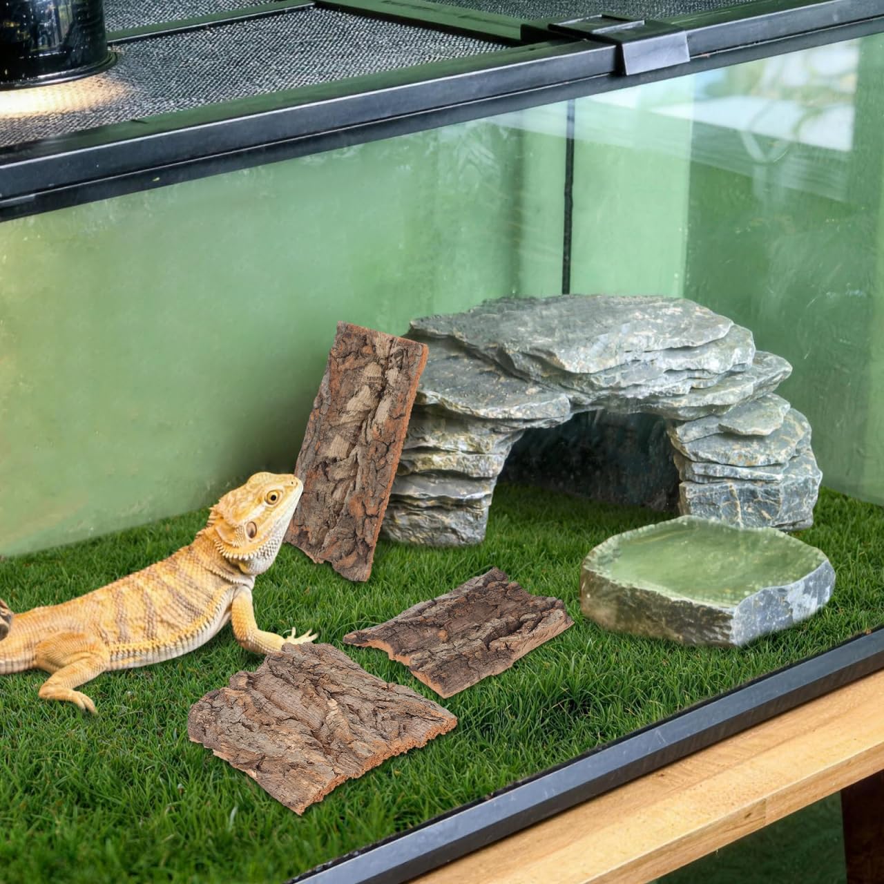 DOITOOL Lot de 4 Toiles de Fond en écorce de liège Naturel pour Reptiles, Escalade, Terrarium, Perche en Liège Naturel Accessoires décoratifs pour Oiseaux Tortue Lézard (Couleur Bois)