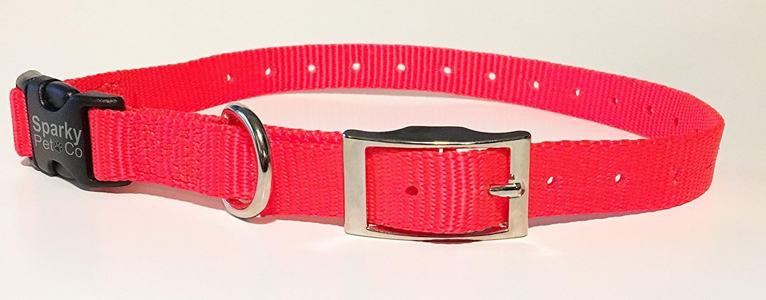 e collar petco