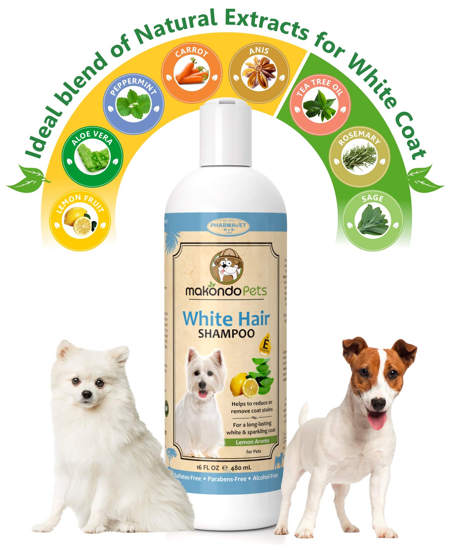 How Do I Keep My White Dog White