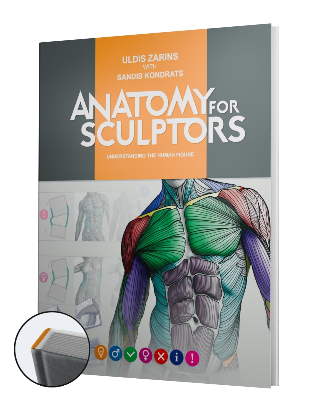 Anatomy For Sculptors, Understanding the Human Figure