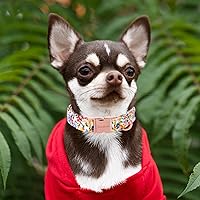 Vista 62 de Unique Style Paws - Collar rosa con hebilla de metal, duradero y lindo para perros pequeños a grandes