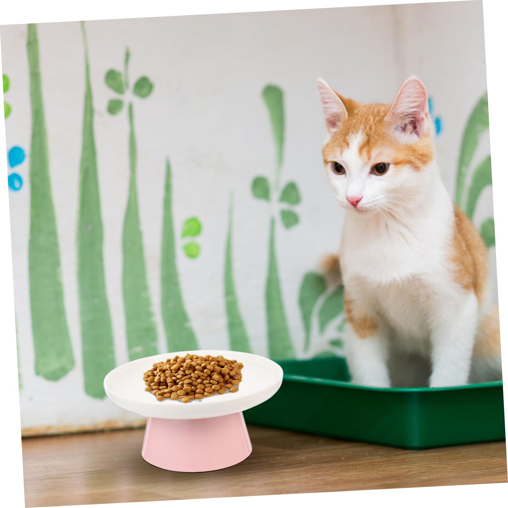 Cuenco Protección Cerámica de Elevado Cervical para Gatos