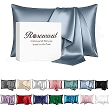 100% Mulberry Silk Pillowcase for Hair and Skin Made in USA, Real 22 Momme Silk Pillow Cases Queen, Not Satin Pillowcase, Anti Acne,Zipper Closure, 1 Pc 20"x30" (Queen, Blue Grey)