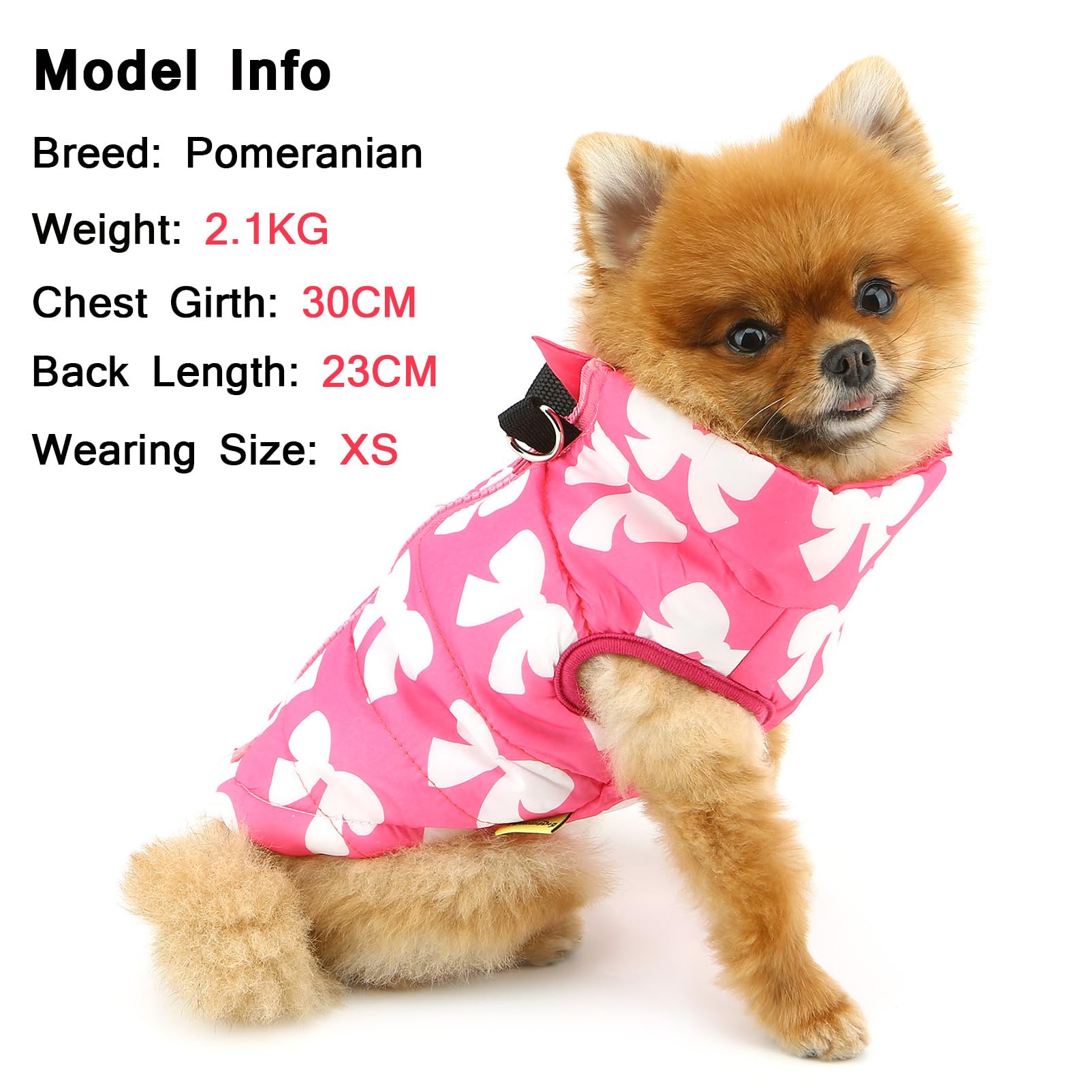 SMALLLEE_LUCKY_STORE Pet Water Resistant Winter Jacket Vest with D-ring for Small Dog Cat Zip-up Padded Puppy Coat Chihuahua Yorkie Kitten Warm Clothes - Image 2