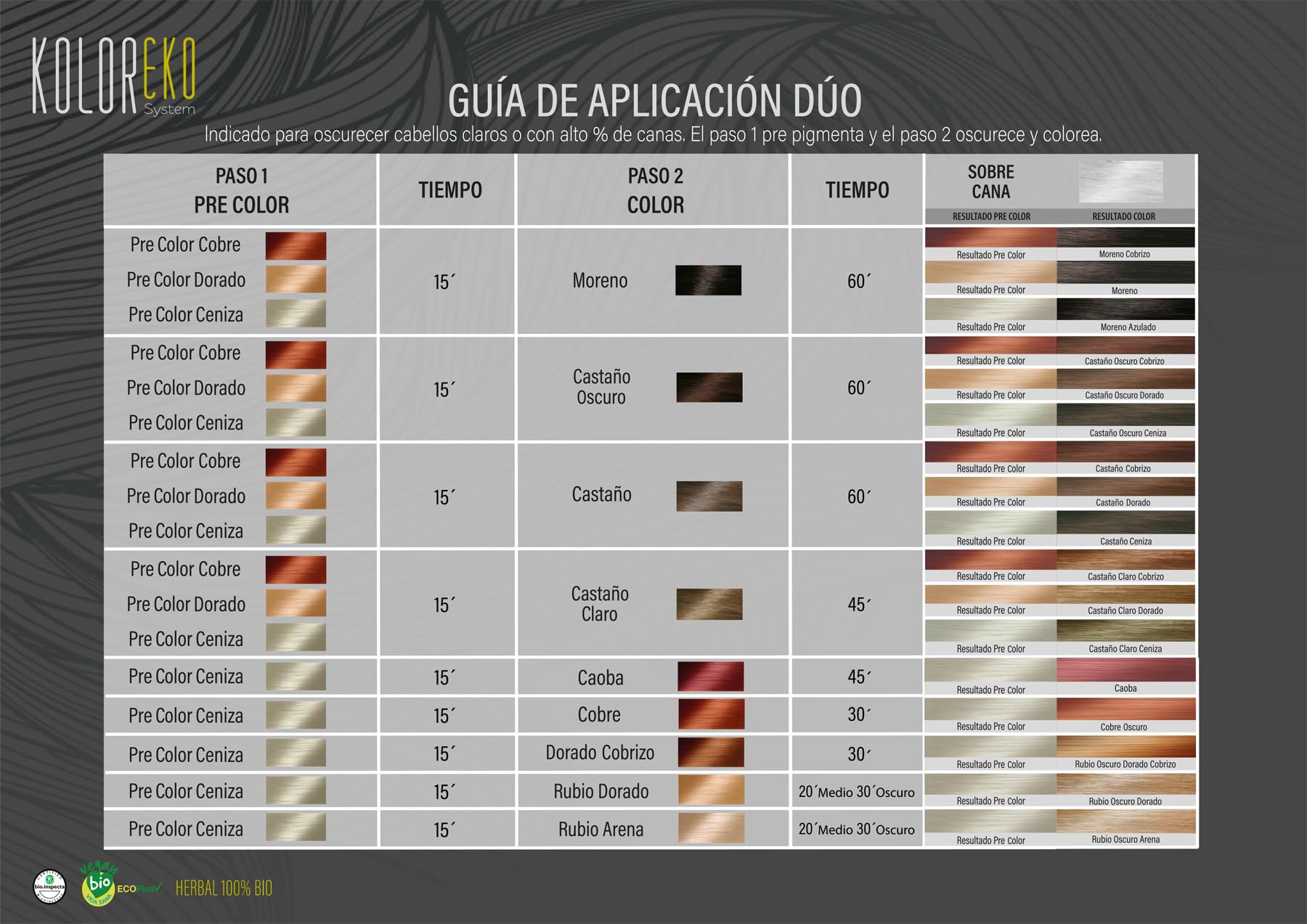 KOLOREKO Tinte natural CASTAÑO COBRIZO - Pack DÚO especial canas - precolor COBRE + tinte CASTAÑO