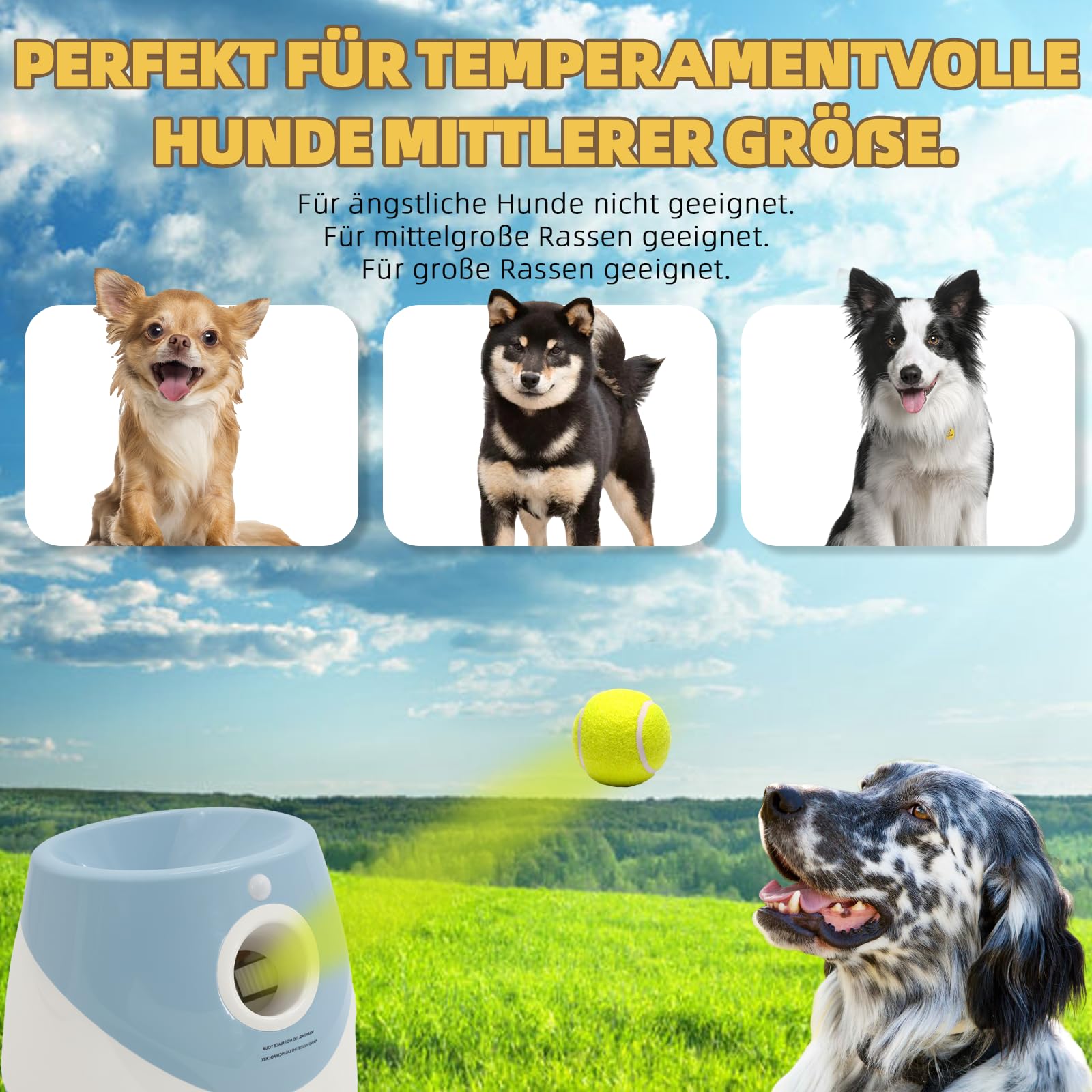 Hundeballwurfmaschine, Hundeballwurfmaschine mit 6 Tennisbällen, interaktives elektrisches Spielzeug für kleine Hunde, Indoor und Outdoor Hundetennisballwurfmaschine