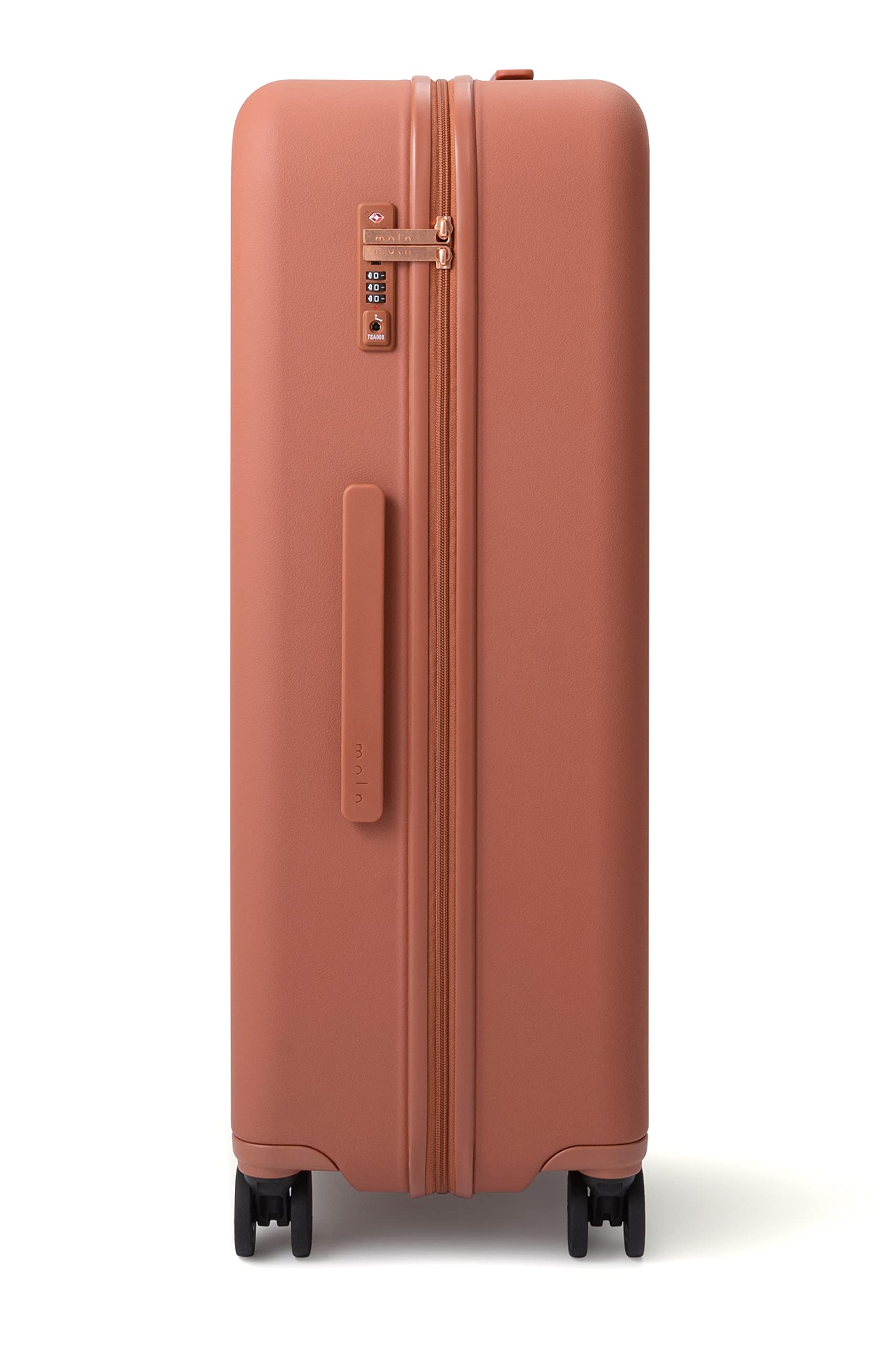 Amazon.co.jp: moln(モルン): Large