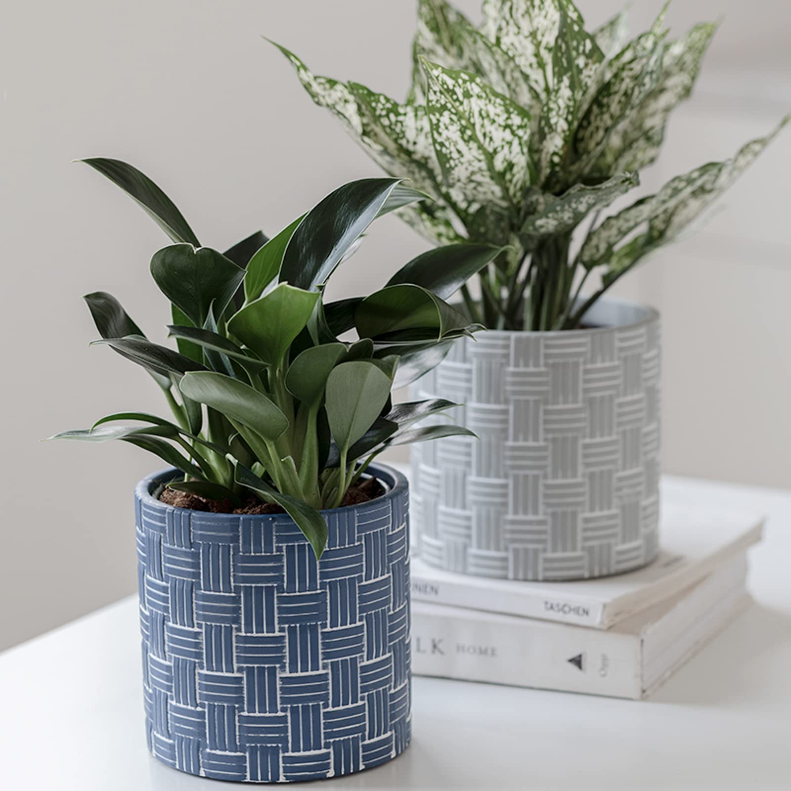 Vasi da Giardino Vaso da Fiori in Cemento, Vaso per Piante Fioriera da Interno da 5,51 Pollici con Foro di Scarico, Vasi Moderni per Piante Grasse per Arredamento Home Office