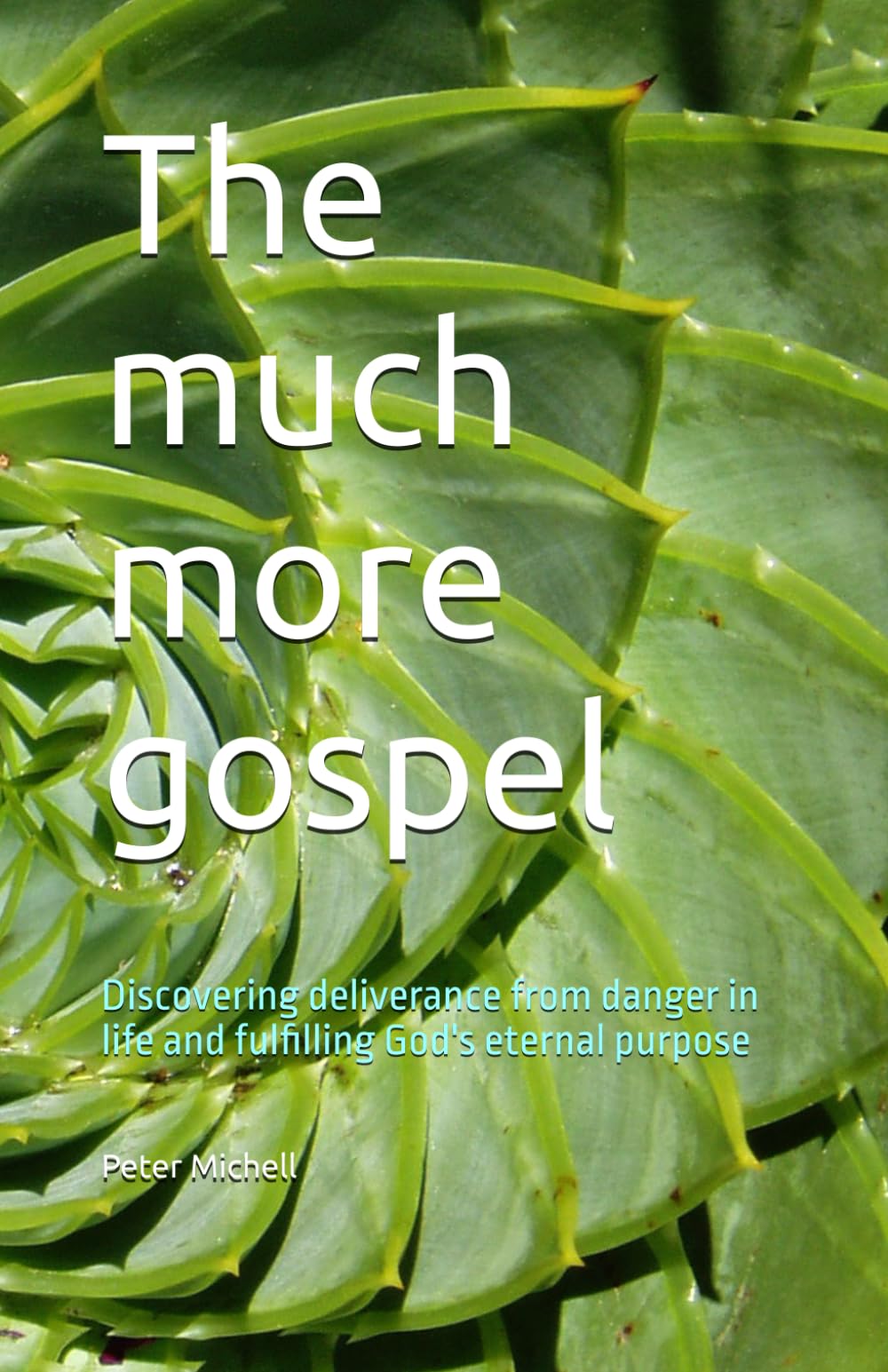 The much more gospel: Discovering deliverance from danger in life and fulfilling God's eternal purpose