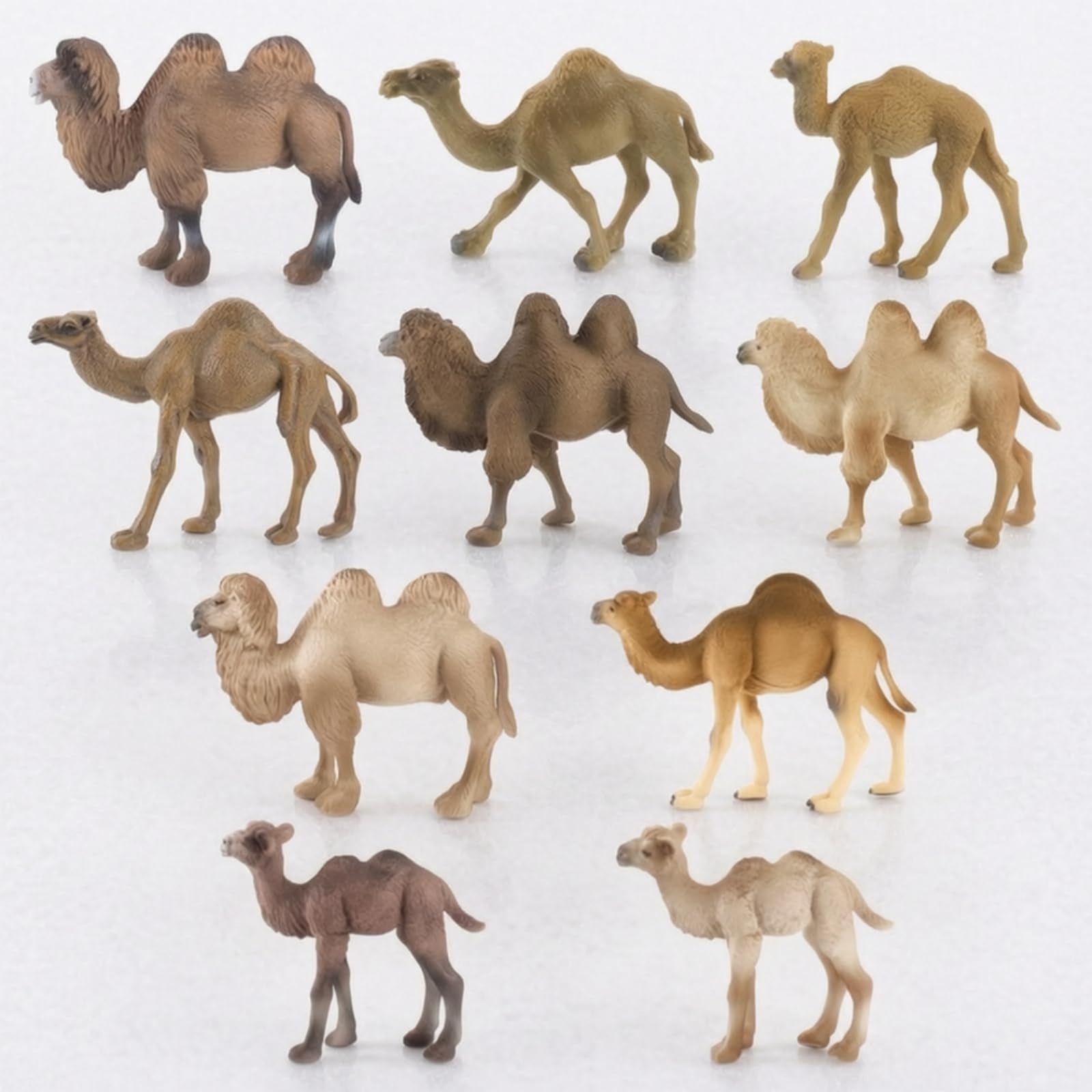 Colcolo Figurina Cammello Figurina Dromedario Miniatura Modello Animale Scultura Realistica in PVC Solido Del Accurati Adatta