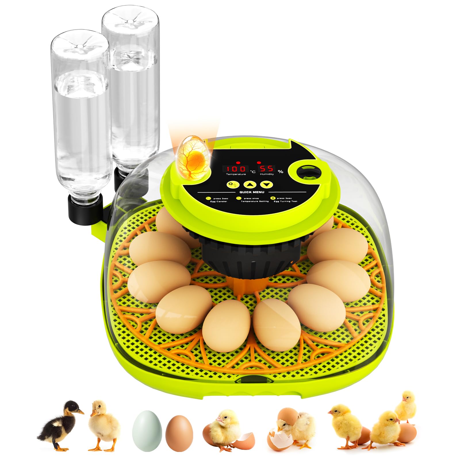 Couveuse Oeuf Automatique, Couveuse 12 Oeufs Retournement Automatique des Œufs, Contrôle de la Température et de l’Humidité Convient à l’Incubation des Œufs de Poule, Canard, Oie, Caille