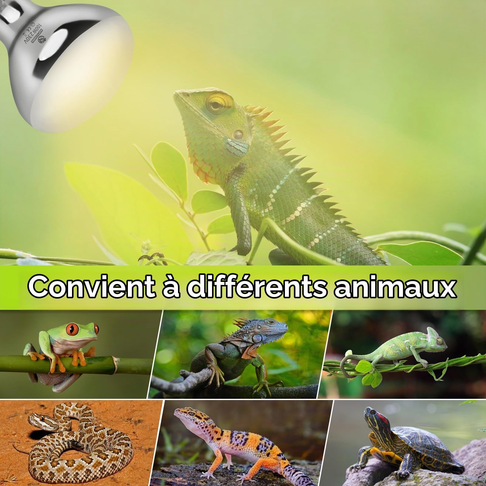 UVA UVB Lampe Chauffante Pour Reptiles, 100W E27 Ampoule Lampe UVB, Lampe Chauffante Pour Reptiles Et Amphibiens, Tortue