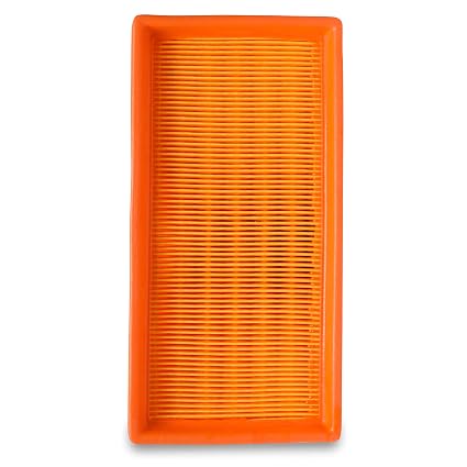 GoMechanic Car Air Filter For Maruti Suzuki Ciaz (D) 2014-2019, Ertiga (D) 2012-2018, Ritz (D) 2009-2017, Swift (D) 2007-2017, Dzire (D) 2008-2017