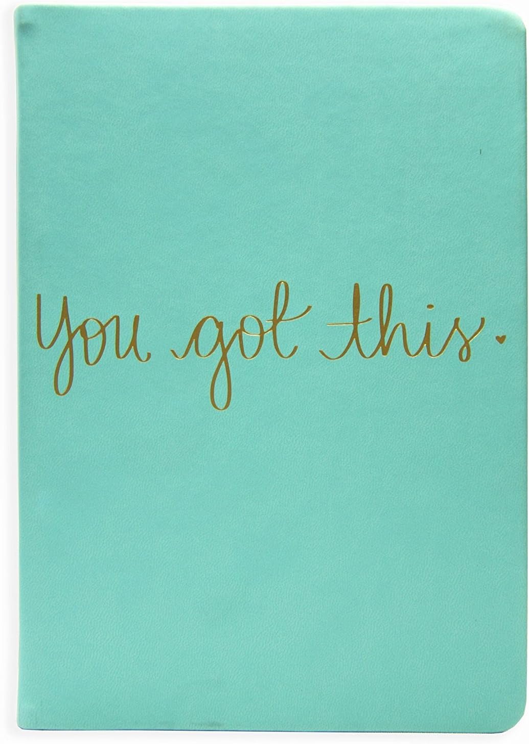 WORLD TRAVELER Eccolo Dayna Lee Collection Mint โYou Got Thisโ 8x6 Flexi-cover Journal/Notebook, Acid-free Lined Sheets