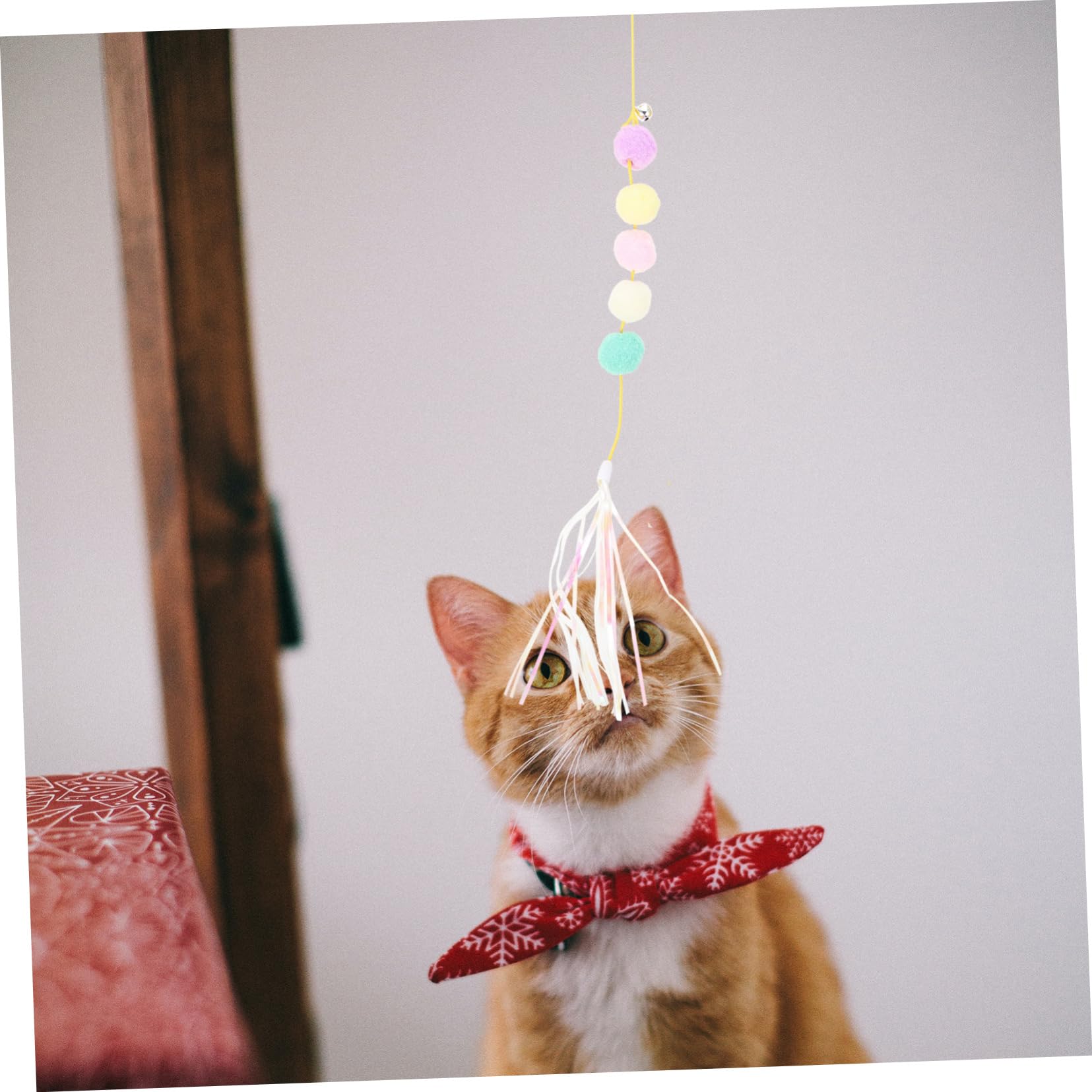 DOITOOL 20stücke Teiliges Interaktives Katzenspielzeug Selbstunterhaltungs-Teaser Mit Elastischem Seil Für Katzen Einfache Montage Am Türrahmen Und Langlebig Für Ihre Katze