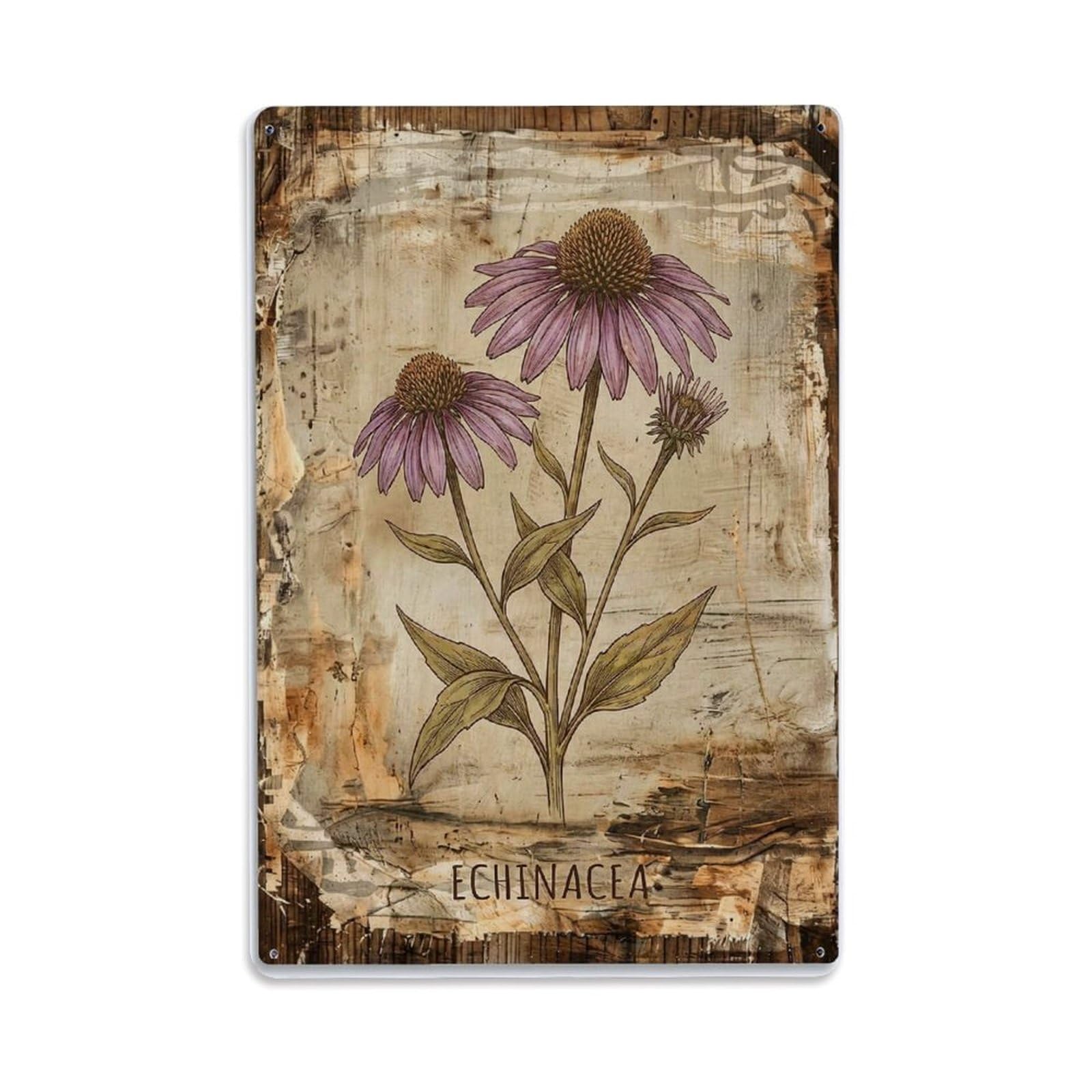 Fqnyr Style Echinacea Botanical Metal Tin Sign Plaque Wall Decor For Cafe, Club Bar, Office, Home Garden Metal Poster 8X12inch