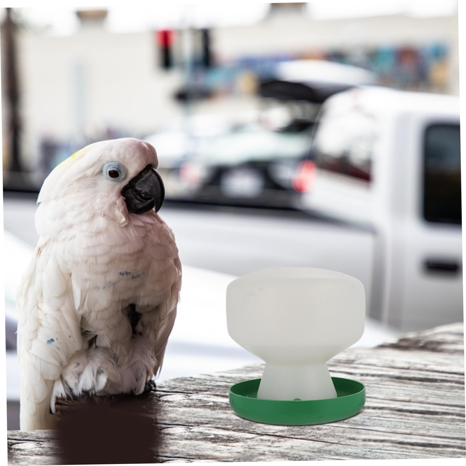 VANZACK 6pièces Distributeur Automatique Eau pour Oiseaux Lot de Accessoires Pratiques pour Perroquets Et Petits Oiseaux Conception Étanche Et