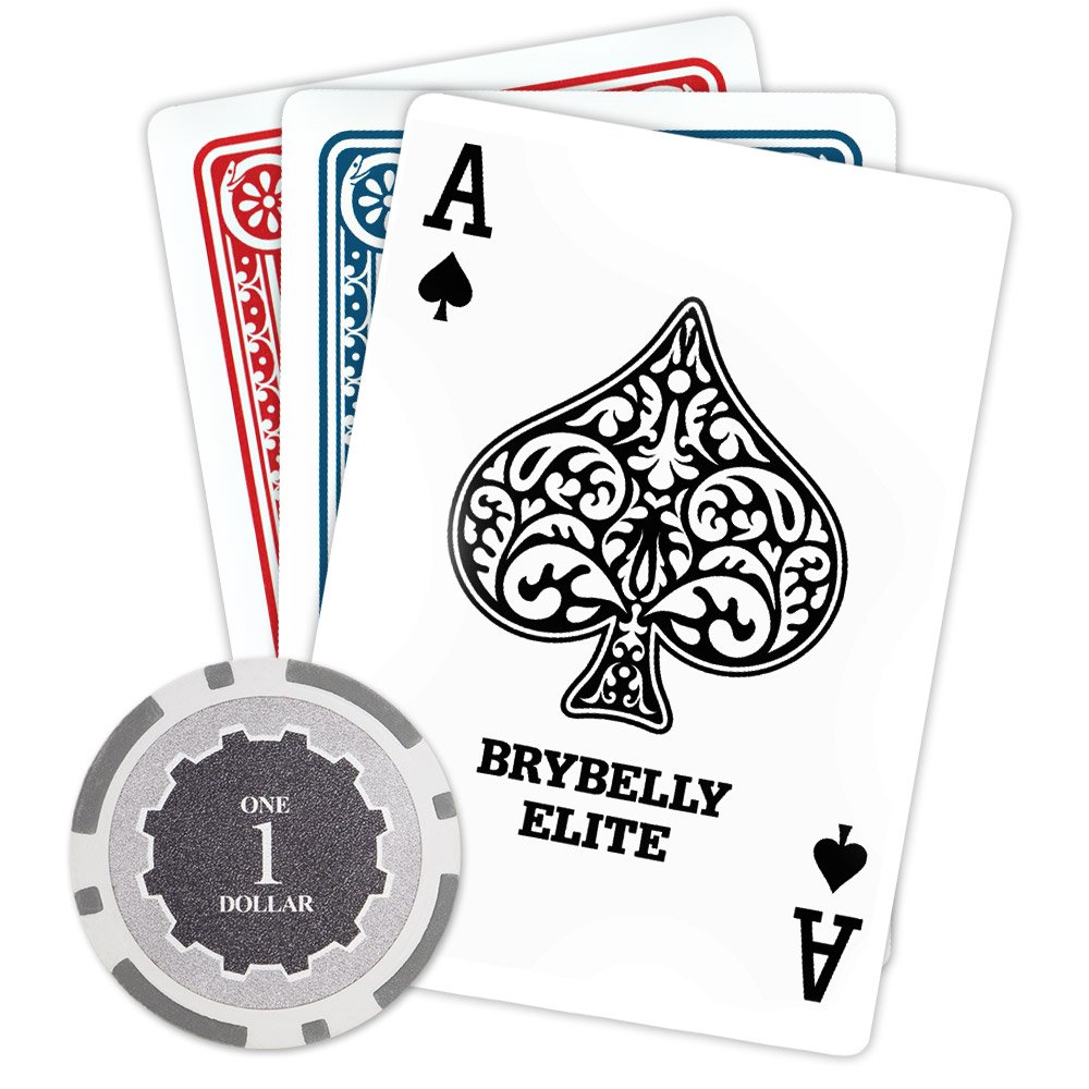 Brybelly Eclipse - Lote de 50 fichas de póker de cerámica de 14 gramos, Gris ($1 Gray)