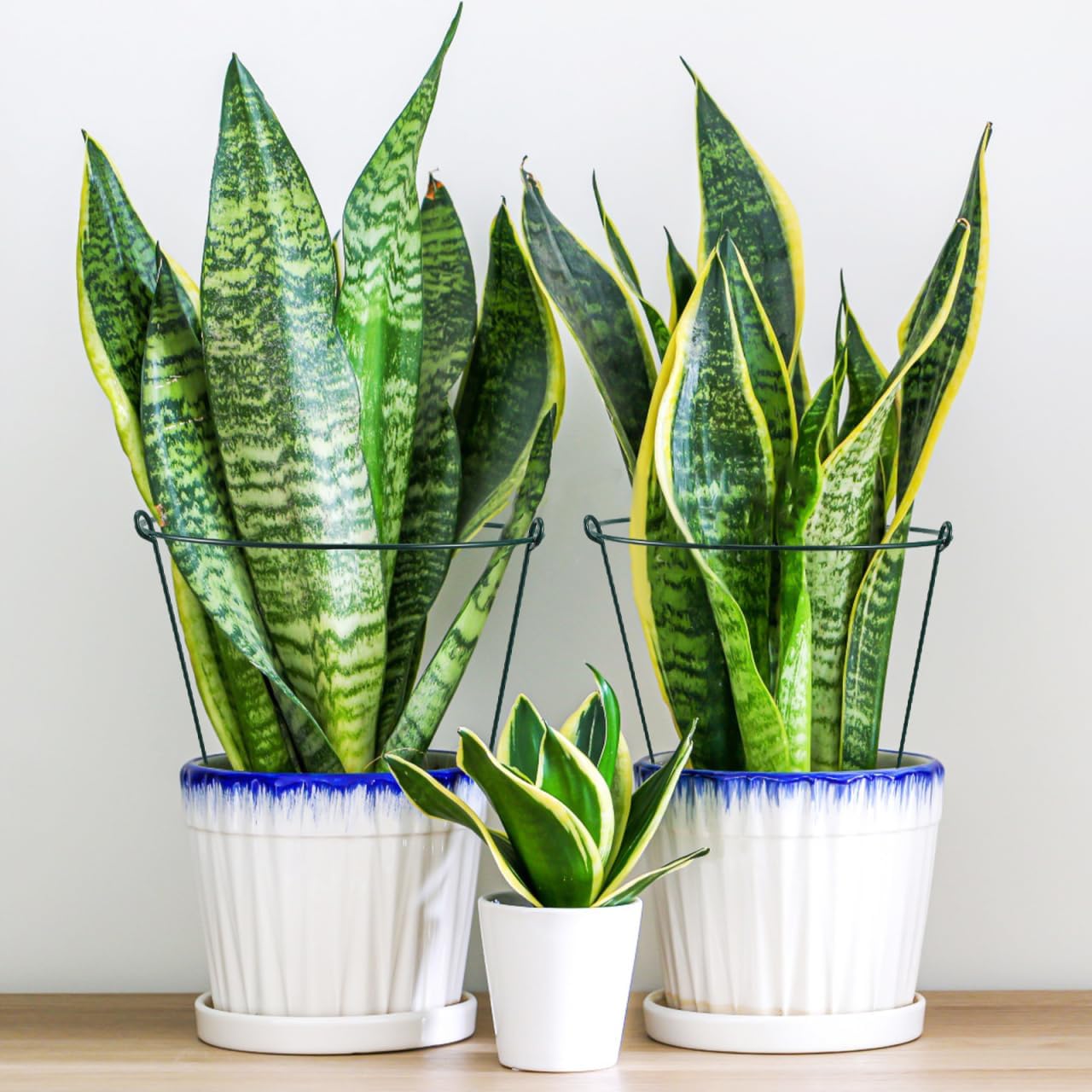 SUPVOX Climbing Support Frame: Green Iron Plant Support Stakes for Indoor and Outdoor Plants Multi-Functional Garden Trellis for Flowers and Vegetables Easy Installation Garden Accessories