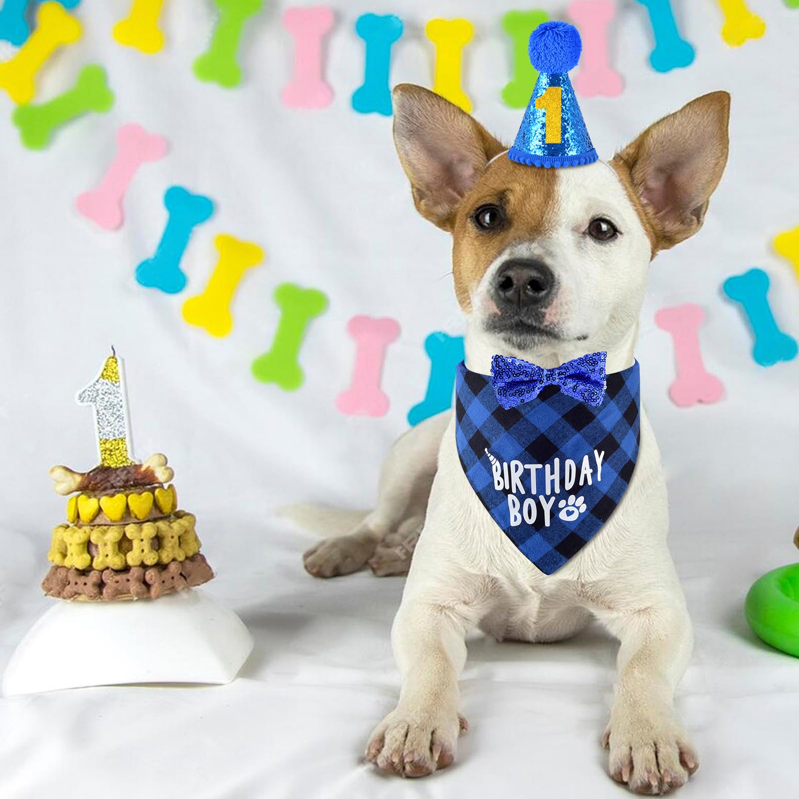 Dog Birthday Hat & Bandana Set – Adjustable Party Hat With Number & Bow For Large Medium Small Pets