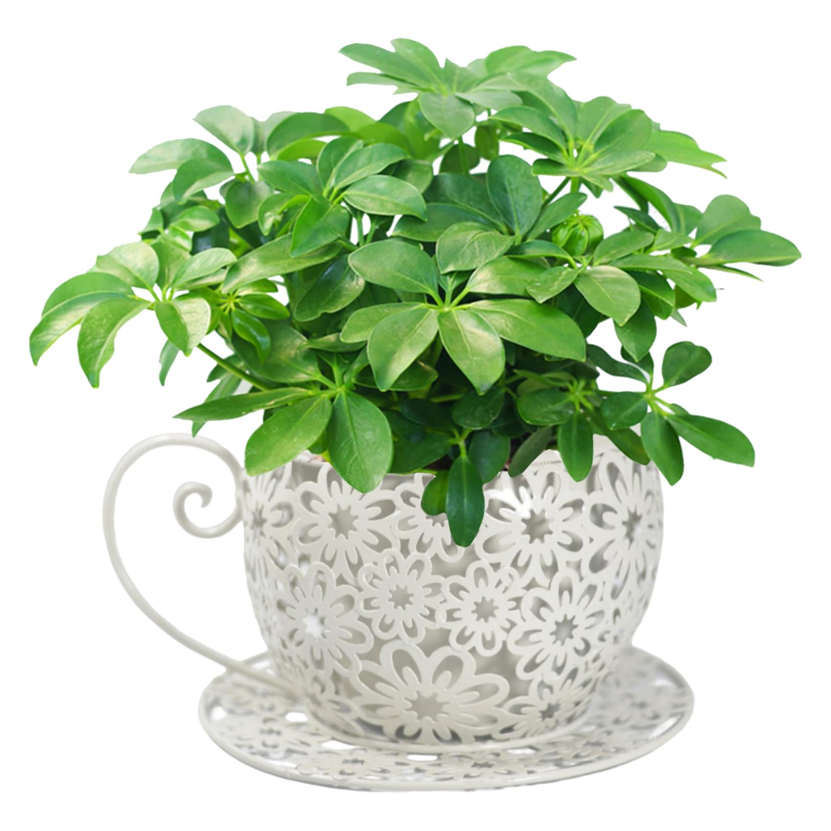 Hperu Flower Pots, Vintage Iron Art Teacup Planters - Hollowed Out Decorative Metal Succulent Plant Holders for Indoor Use - Teacup Planter