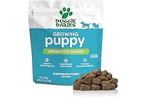 Doggie Dailies: The Essential Probiotic Chews for Happy and Healthy Puppies