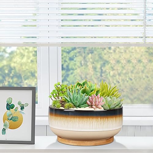 Miniatura 3 de Maceta grande de cerámica para suculentas de 8 pulgadas con orificio de drenaje y platillo, maceta poco profunda marrón para plantas de interior