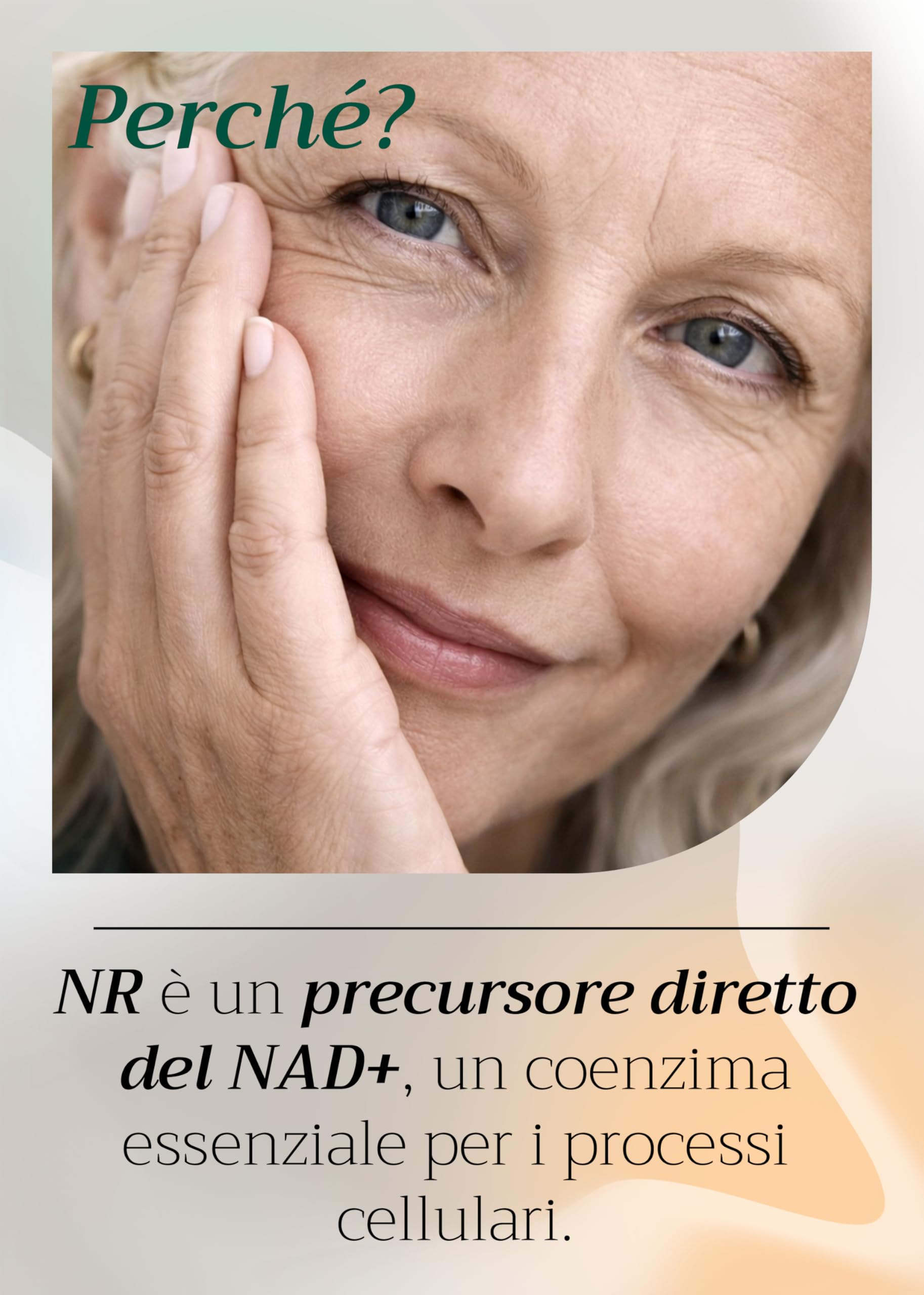 Intenson Nicotinamide Riboside NR, NAD+ Precursor, 300 mg per Capsula, NAD+ Booster, Benessere dell’età, 60 Capsule Vegane, Formula Pulita e Essenziale
