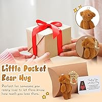 Vista 10 de Libima Juego de 12 cajas de almohada de animales de peluche con diseño de oso de bolsillo con etiqueta en blanco en forma de corazón para tu ser