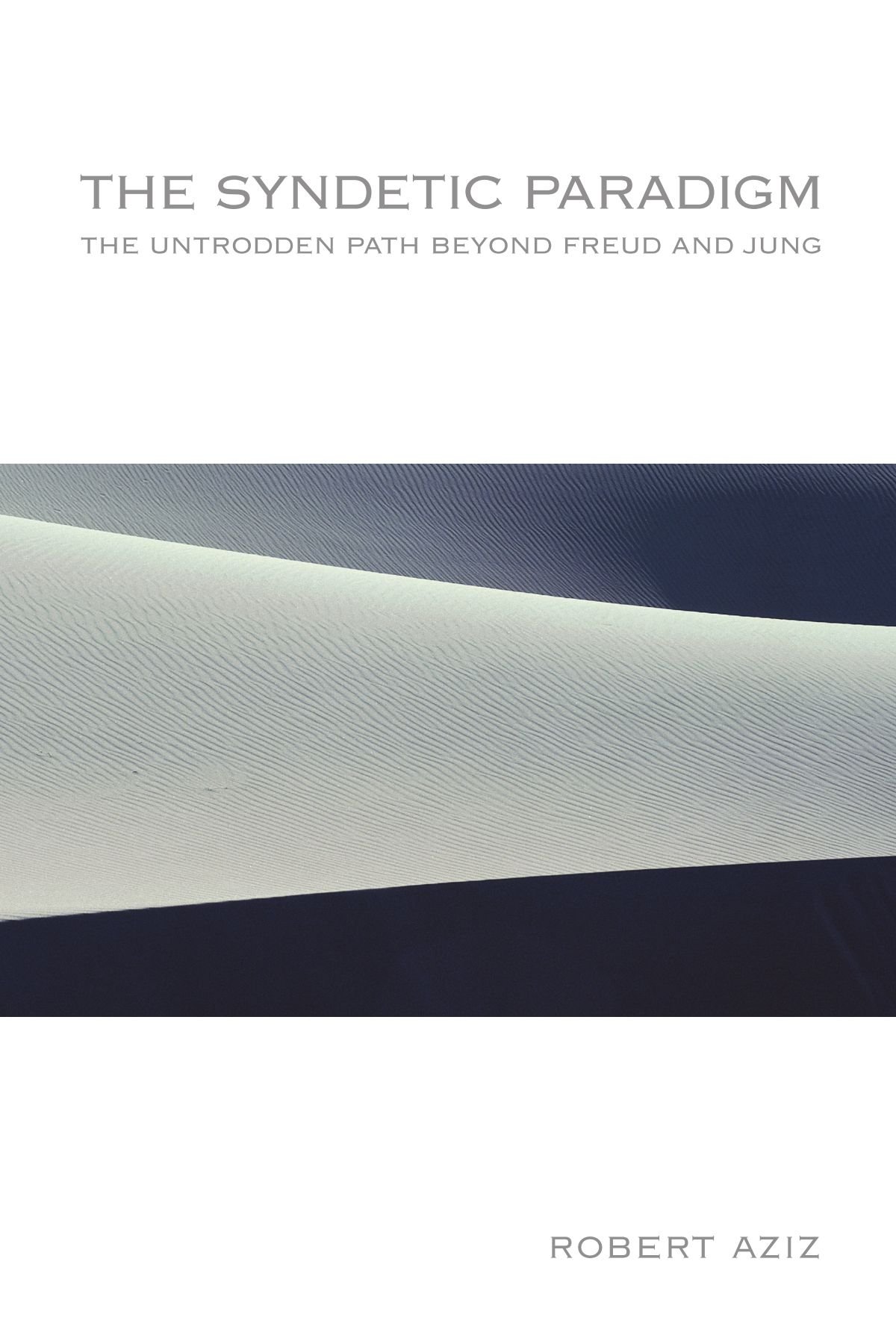 The Syndetic Paradigm: The Untrodden Path Beyond Freud and Jung (Suny Series in Transpersonal and Humanistic Psychology)